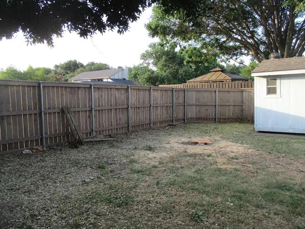 Cleared yard after professional tree removal in Bear Branch